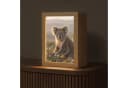 OnlyWow Tischleuchte Lightbox Koala Dimmbar LED Bild 2