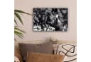 OneMillionCanvasses® Leinwandbild Springen - Pferd - Schwarz - Weiß Bild 1