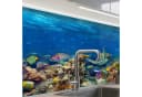 KitchenYeah Küchenrückwand Selbstklebend Unterwasserlandschaft Bunt Bild 2