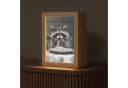 OnlyWow Tischleuchte Lightbox Waschbär Dimmbar LED Bild 2