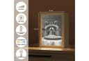 OnlyWow Tischleuchte Lightbox Waschbär Dimmbar LED Bild 4