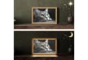 OnlyWow Tischleuchte Lightbox Katze Schwarz Weiß Dimmbar LED Bild 1