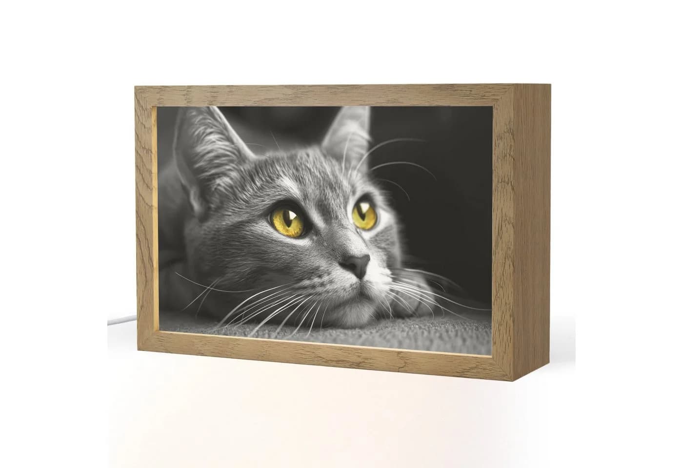 OnlyWow Tischleuchte Lightbox Katze Schwarz Weiß Dimmbar LED - Bild 2