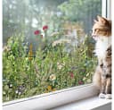 FOUORTUNATE-BEE Fenstersticker Pflanzen- & Blumen-Wandaufkleber – 40×100 cm Bild 3