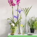 FOUORTUNATE-BEE Blumenständer 4er Set Ikebana Edelstahl Silber Bild 5