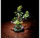 FOUORTUNATE-BEE Blumenständer Runder Ikebana Halter Edelstahl Bild 1