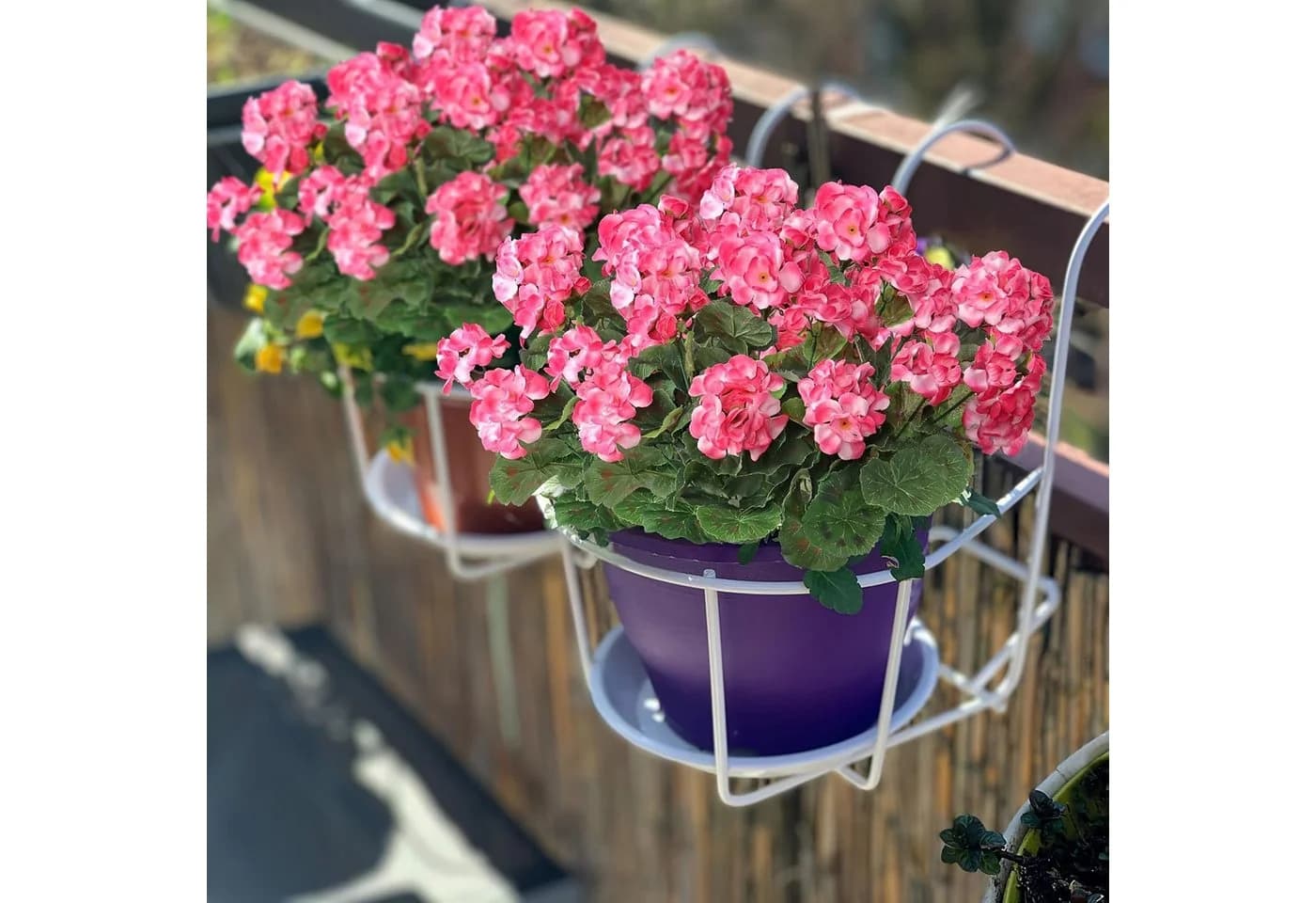 FOUORTUNATE-BEE Kunstblumen Geranien 6 Stück Rosa/Rot Wetterfest - Bild 3