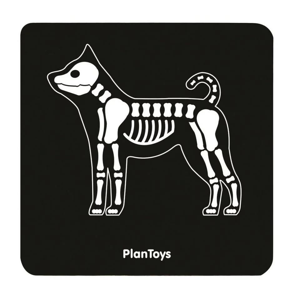 Plantoys Spielzeug-Arztkoffer Tierarzt-Tasche Bunt - Bild 3
