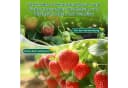 OUNUO Unkrautvlies Gartenvlies 100g/m² UV-beständig Schwarz Bild 5
