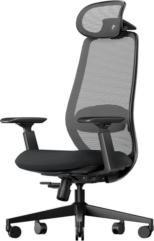 ProtoArc EC200 Bürostuhl Ergonomisch Schwarz mit Lendenstütze - Bild 2