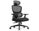 ProtoArc EC300 Bürostuhl Ergonomisch mit Lordosenstütze & Kopfstütze Bild 2