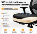 ProtoArc EC200 Bürostuhl mit Lendenwirbelstütze & Sitztiefenverstellung Bild 3