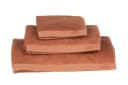 framsohn frottier Handtuch 'Botanic Deluxe' Orange Bild 1