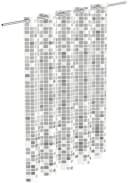 EISL Duschvorhang Mosaik Grau Polyester mit Anti-Schimmel Bild 2