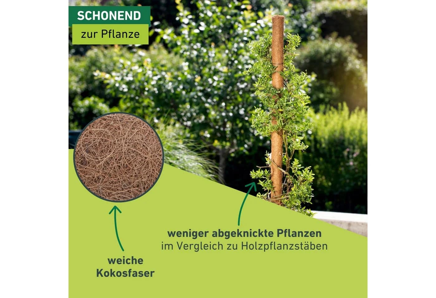 Windhager Rankhilfe Kokos Pflanzstab verlängerbar - Bild 5