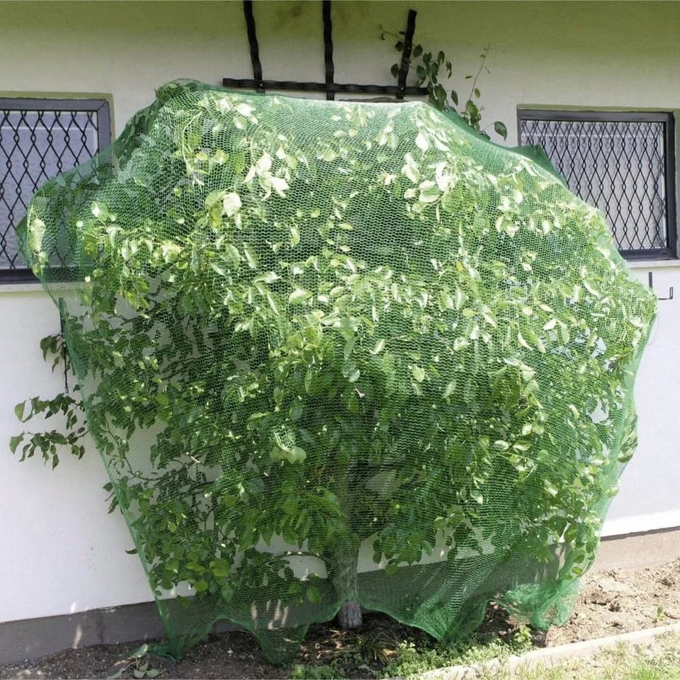 Windhager Vogelschutz-Netz Rational Grün 4x10 m - Bild 2