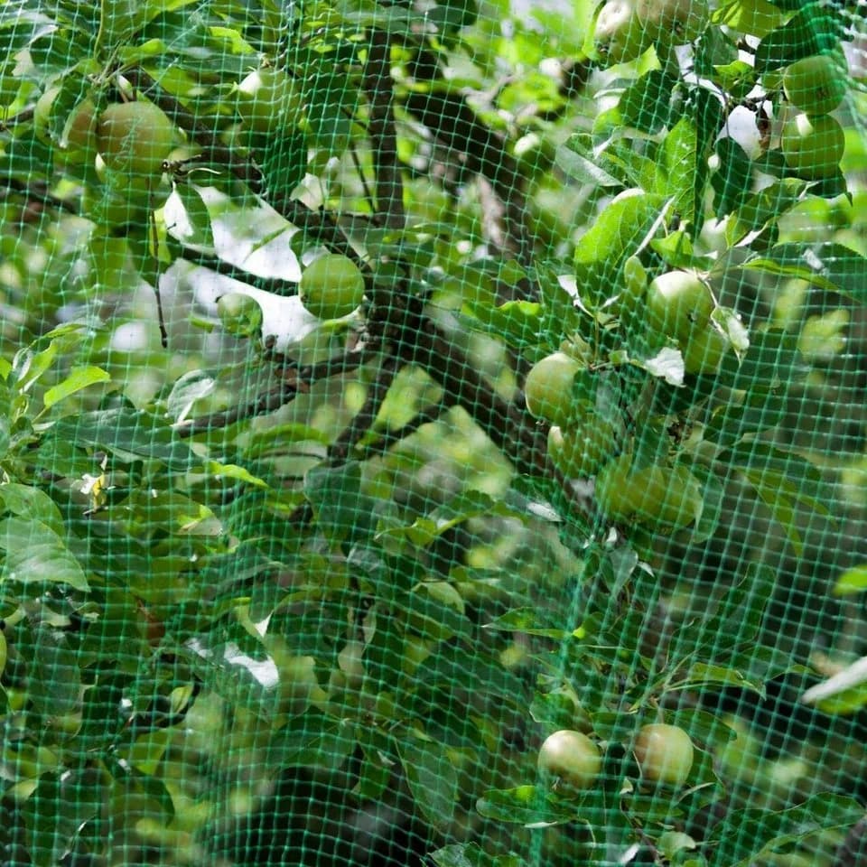 Windhager Schutznetz ORTONET 4x10 m Vogelschutznetz - Bild 5
