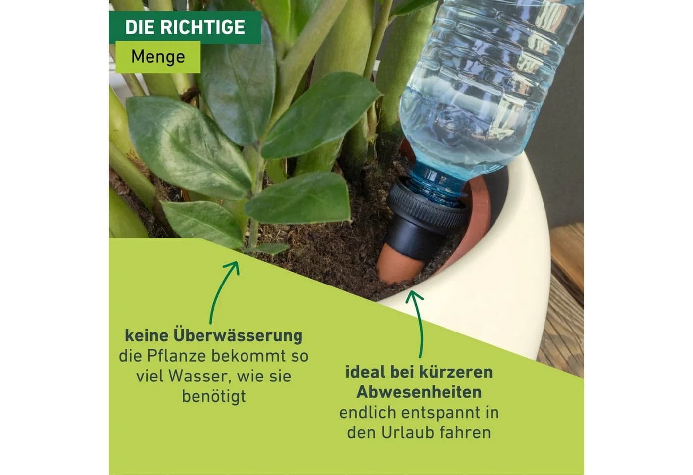 Windhager Bewässerungssystem Flaschenadapter Schwarz 3er Pack - Bild 4