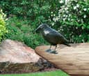 Windhager Vogelattrappe Crow Schwarz Bild 3