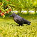 Windhager Vogelattrappe Crow Schwarz Bild 4