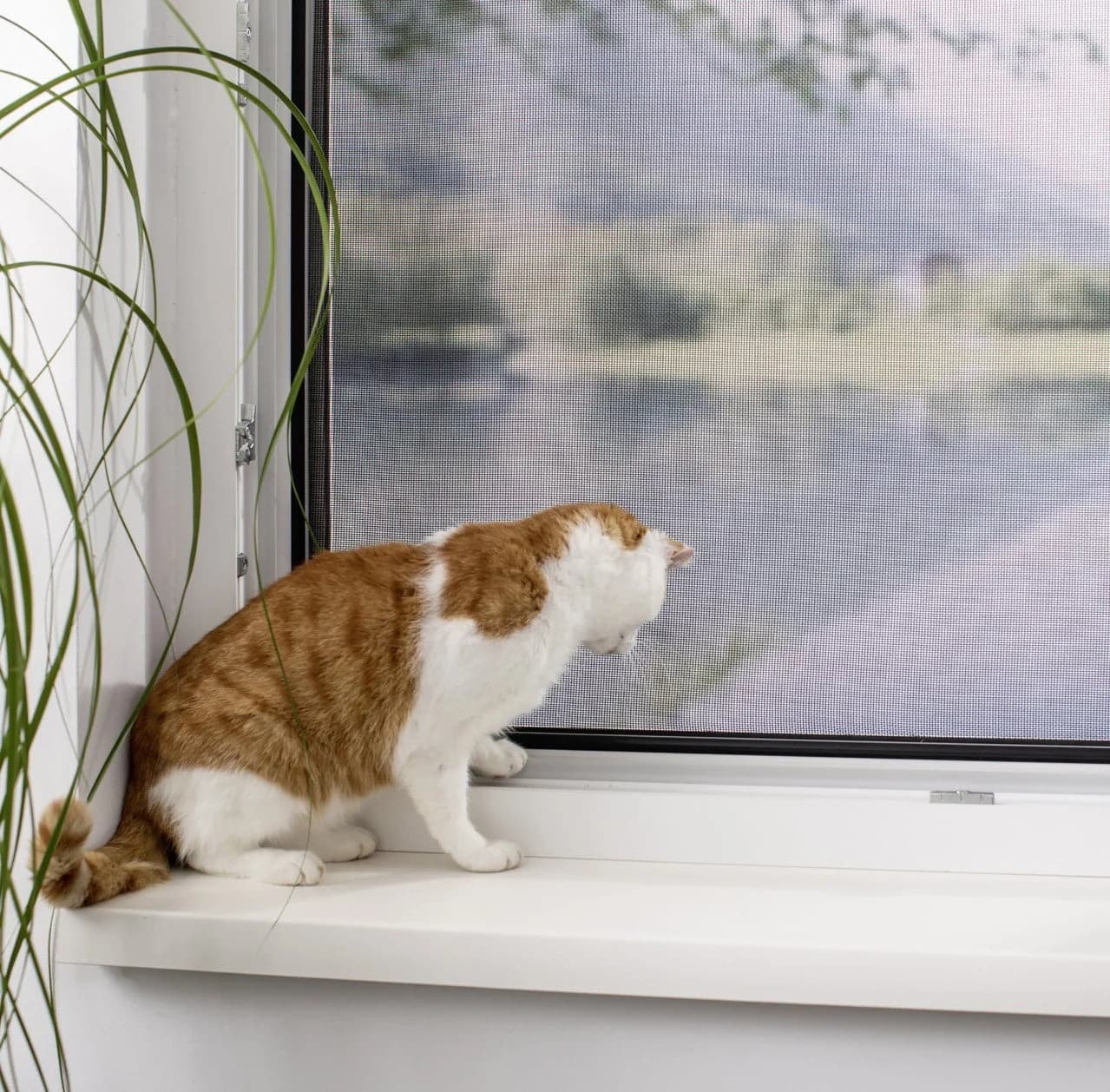 Primaster Pet-Protect Glasfasergewebe Schwarz