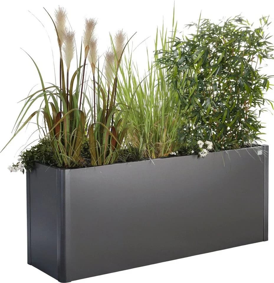 BioHort Hochbeet Belvedere Midi 1,5x0,5m Stahl Dunkelgrau Metallic