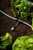 Bewässerungssystem BioHort Tropfbewässerung Schwarz/Grau Bild 1