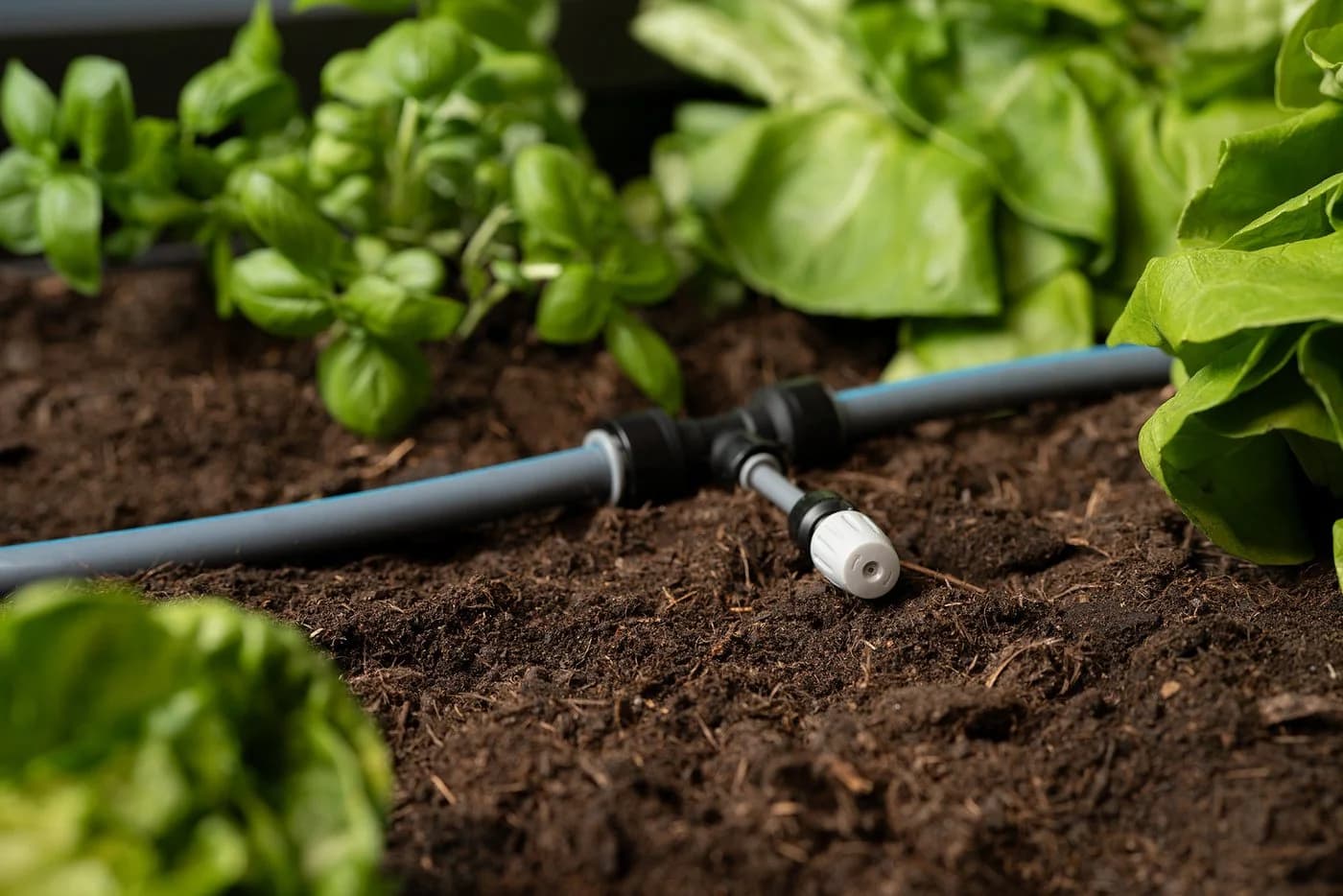 Bewässerungssystem BioHort Tropfbewässerung Schwarz/Grau - Bild 2