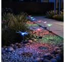 GLOBO LIGHTING Solarleuchte 4er Set Schmetterling Libelle Bunt Bild 3