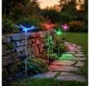 GLOBO LIGHTING Solarleuchte 4er Set Schmetterling Libelle Bunt Bild 5