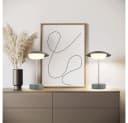 GLOBO LIGHTING LED Tischleuchte Grün Touchdimmer höhenverstellbar 2er Set Bild 1