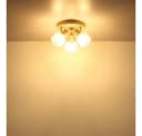 GLOBO Lighting Strahler PLANTA Sandfarben Matt Metall Bild 4
