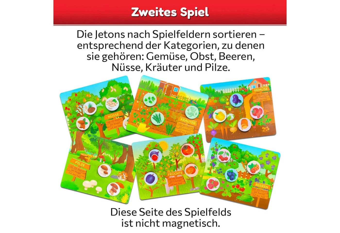 none - Bild 4