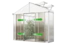 GFP Gewächshaus Titan 21 10 mm Wandstärke Seitenhöhe 170 cm Bild 5