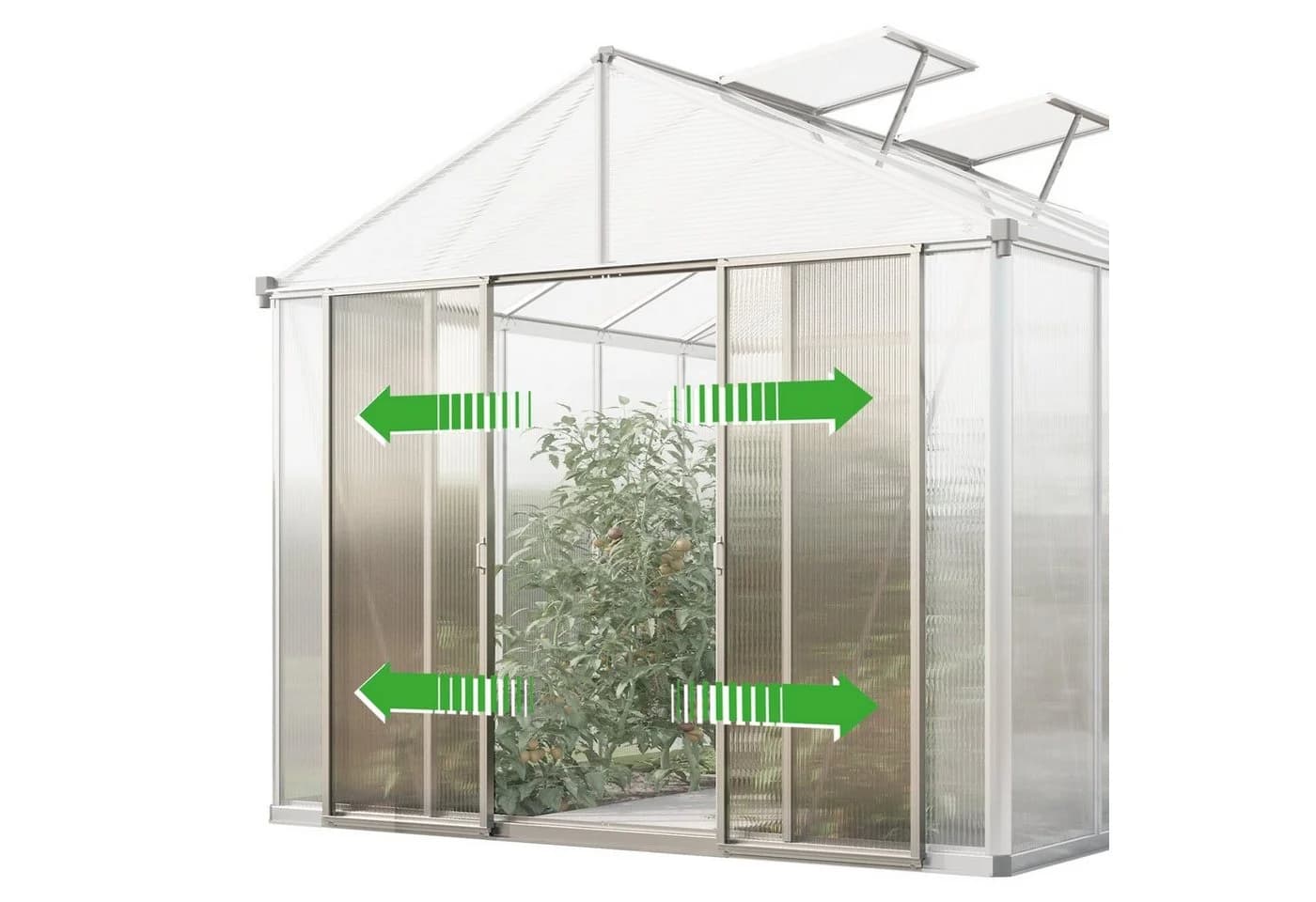 GFP Gewächshaus Titan 21 10 mm Wandstärke Seitenhöhe 170 cm - Bild 5