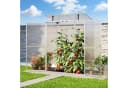 GFP Tomatengewächshaus Emma 8mm Wandstärke Aluminium Grau Bild 1