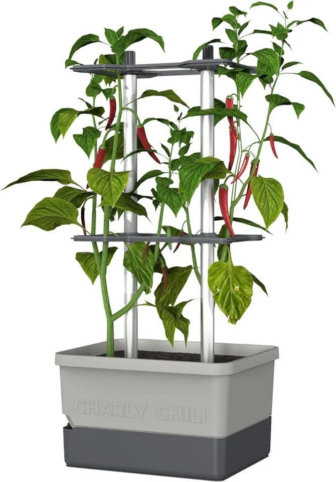 Gusta Garden Pflanzkübel CHARLY CHILI hellgrau mit Rankhilfe & Bewässerung - Bild 2