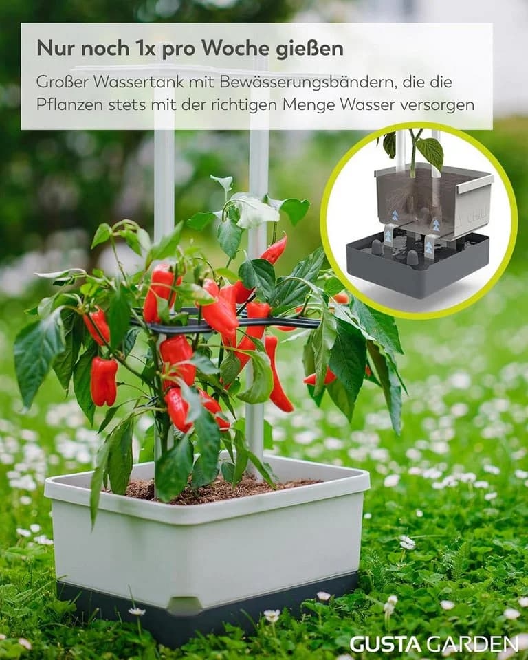 Gusta Garden Pflanzkübel CHARLY CHILI hellgrau mit Rankhilfe & Bewässerung - Bild 4