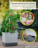Gusta Garden Pflanzkübel TOM TOMATO Tomatenpflanzset mit Bewässerung dunkelgrün Bild 1