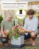 Gusta Garden Pflanzkübel TOM TOMATO Tomatenpflanzset mit Bewässerung dunkelgrün Bild 5