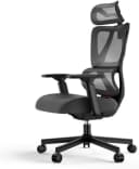 ProtoArc EC100 Bürostuhl Schwarz Ergonomisch Mesh mit Federkissen Bild 2