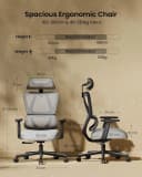 ProtoArc EC100 Ergonomischer Bürostuhl mit Lendenwirbelstütze Grau Bild 1