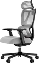 ProtoArc EC100 Ergonomischer Bürostuhl mit Lendenwirbelstütze Grau Bild 2