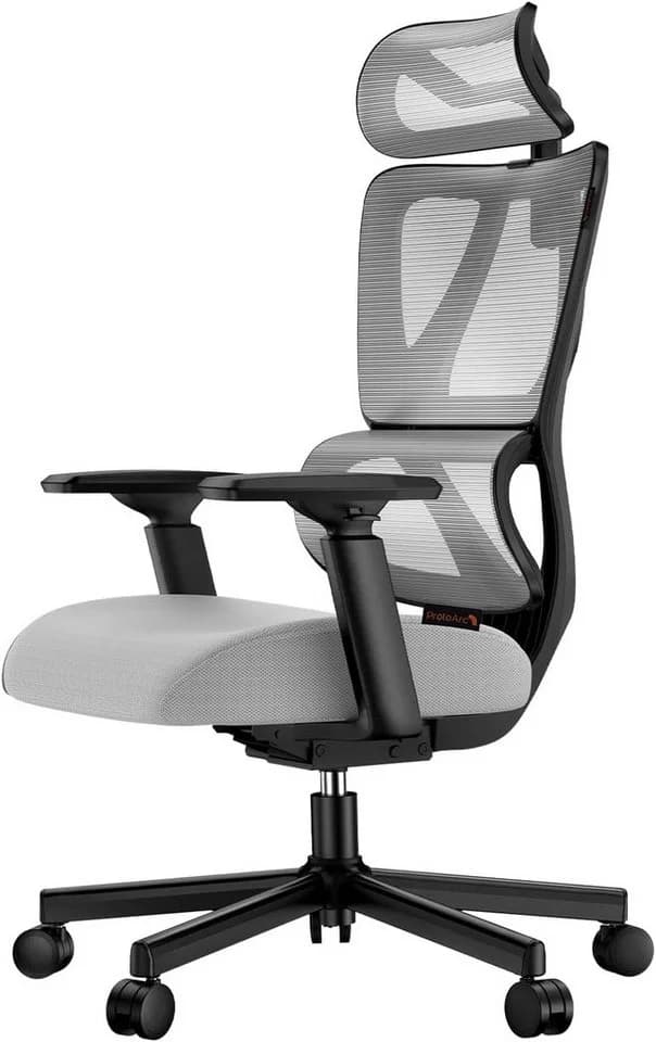 ProtoArc EC100 Ergonomischer Bürostuhl mit Lendenwirbelstütze Grau - Bild 2