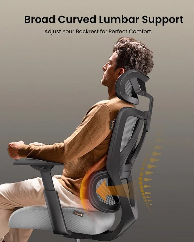 ProtoArc EC100 Ergonomischer Bürostuhl mit Lendenwirbelstütze Grau - Bild 3