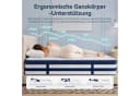 Niceluck 7-Zonen Hybrid Matratze H3/H4 Taschenfederkern Bild 3