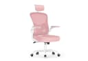 ZAISZE Ergonomischer Bürostuhl Rosa mit Netzbezug und klappbaren Armlehnen Bild 1