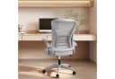 ZAISZE Ergonomischer Bürostuhl Grau mit Neigefunktion & klappbaren Armlehnen Bild 1