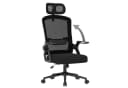ZAISZE Ergonomischer Bürostuhl drehbar höhenverstellbar schwarz Bild 1