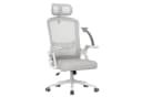 ZAISZE Ergonomischer Bürostuhl Grau drehbar höhenverstellbar Bild 1